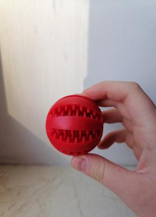 Жувальний м'ячик для собак.