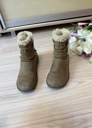 Угги сапоги ugg