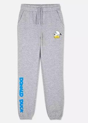 Штани спортивні