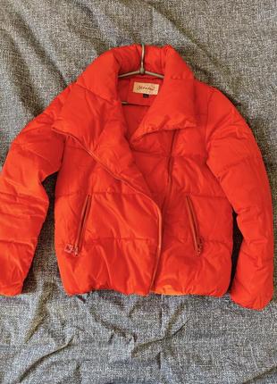 Куртка деми осень-весна м