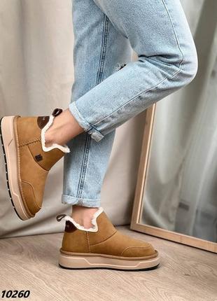 10260 черевики замшеві, уггі зимові на хутрі