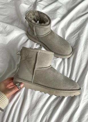 Угги натуральные ugg outlet mokko glossiness premium