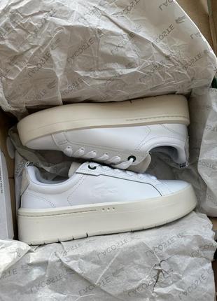 Кроссовки lacoste