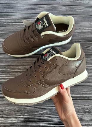 ‼️ разграждай!️ кожаные кроссовки reebok classic leather brown