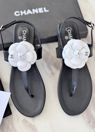 Босоножки6 фото