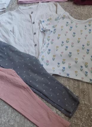 Лосіни кофта next