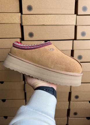 Ugg tazz tasman угги угги таз угги угги таз тасман на меху все цвета