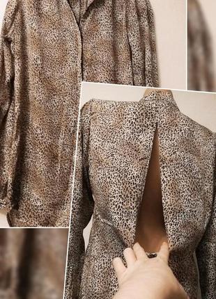 🐾блузка кішка