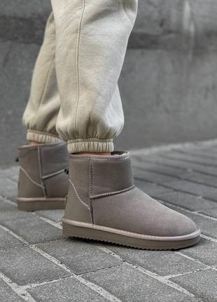 Угги уггі угг ugg dark beige (лаковый задник)