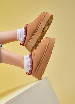 Ugg tazz tasman угги угги таз угги угги таз тасман на меху все цвета8 фото