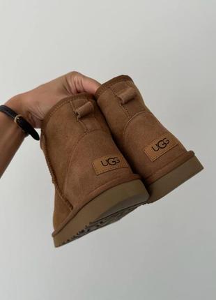 Угги уггі угг Bluzy ugg classic mini chestnut8 фото