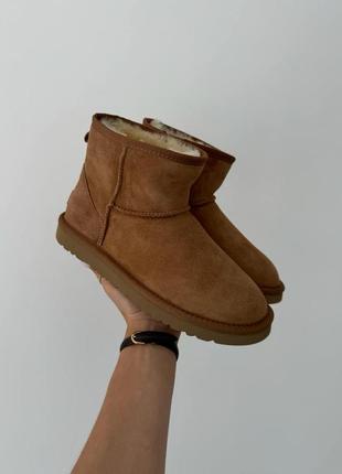 Угги уггі угг Bluzy ugg classic mini chestnut7 фото