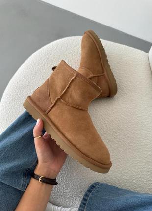 Угги угги угг ugg classic mini chestnut