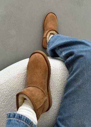Угги уггі угг Bluzy ugg classic mini chestnut6 фото
