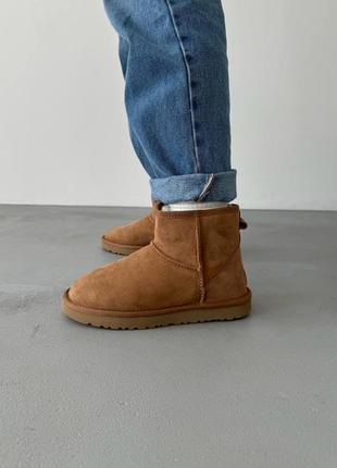 Угги уггі угг Bluzy ugg classic mini chestnut3 фото