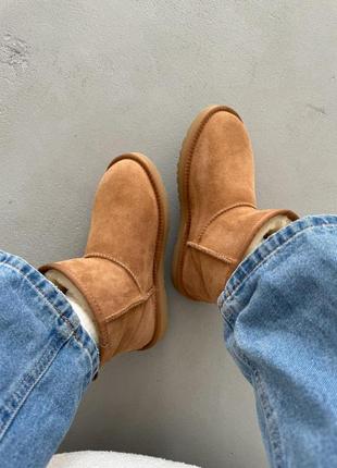 Угги уггі угг Bluzy ugg classic mini chestnut5 фото