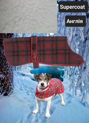 Попона для собак supercoat (61 см,англия)