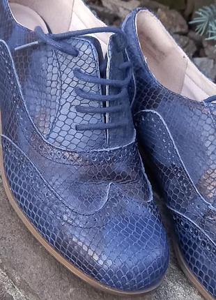 Рептилія, шкіра,туфлі
