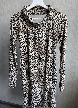 Леопардове плаття сукня