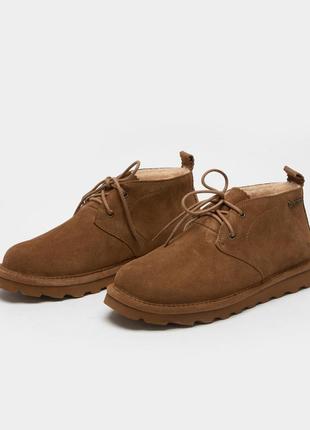 #256 зимові кросівки ( черевики) bearpaw