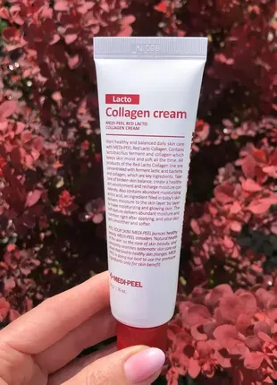 Зміцнювальний крем з колагеном і лактобактеріями medi peel red lacto collagen cream 50мл