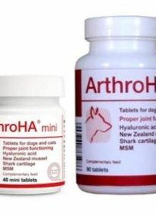 Витамины для суставов собак мелких пород и кошек dolfos arthroha 40 таблеток