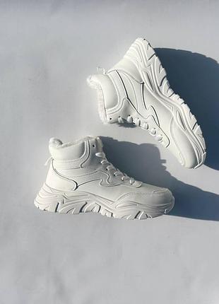 Sneakers lines