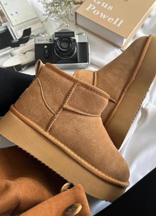 Уггі itts maroon