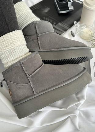 Уггі itts grey 5