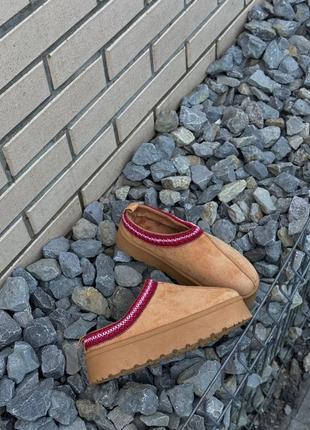 Тасс чорні та коричневі