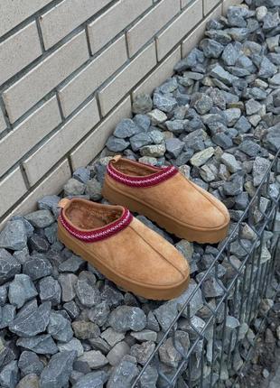 Тасс чорні та коричневі