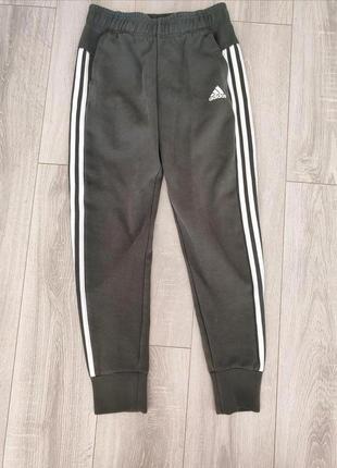 Спортивні штани adidas