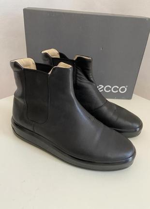 Черевики челсі ecco
