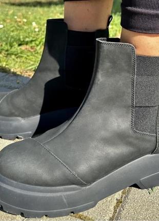 Ботинки новые кожа женские toms