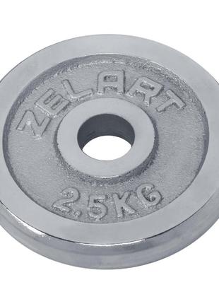Диски (диски) хромовані d — 30 мм zelart ta-7786-2_5 2,5 кг
