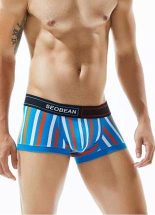 Бавовна seobean чоловічі прикольні труси смужка боксери хіпси, що розносять сексуальні
