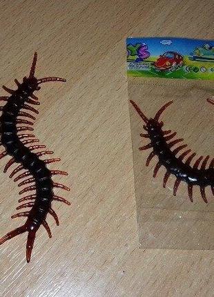 Таракан і сороконіжка.уважно  читайте  умови  пересилки!!!