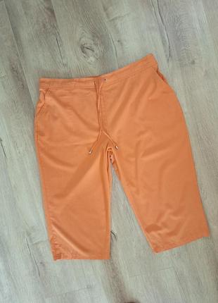 Легенькі бриджі