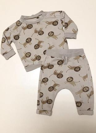 Костюм кофта и штанишки комплект лев свитшот брюки львёнка со львами