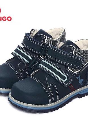 Кожаные деми ботинки фламинго