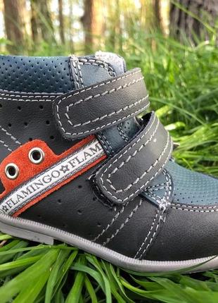 Кожаные деми ботинки фламинго