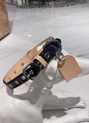 Нашийник +поводок