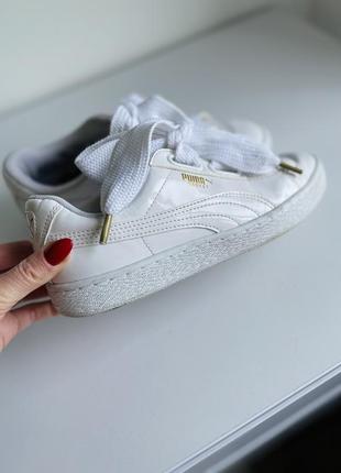 Puma basket 38