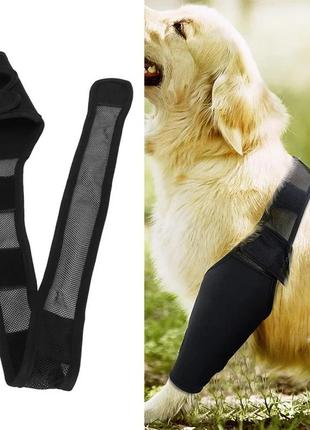 Захисний бандаж для передніх та задніх лап собак розмір m