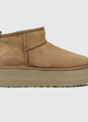 Ultra mini platform ginger premium
