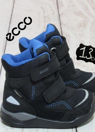 ecco first 21 850 117220029