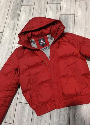 Чоловічий пуховик