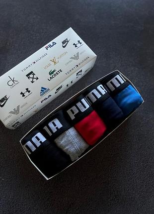 Брендовые трусы puma 3
