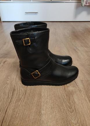 Чоботи clarks