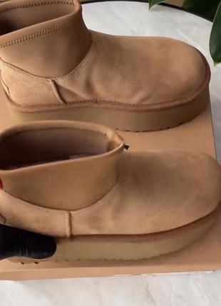 Ugg dipper mini 4